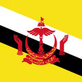 Brunei Darussalam Unlimited eSIM